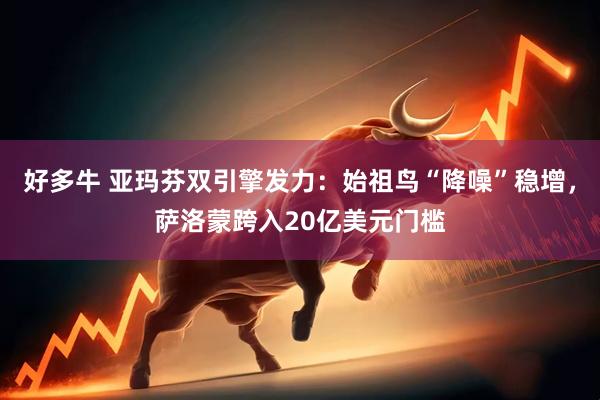 好多牛 亚玛芬双引擎发力：始祖鸟“降噪”稳增，萨洛蒙跨入20亿美元门槛