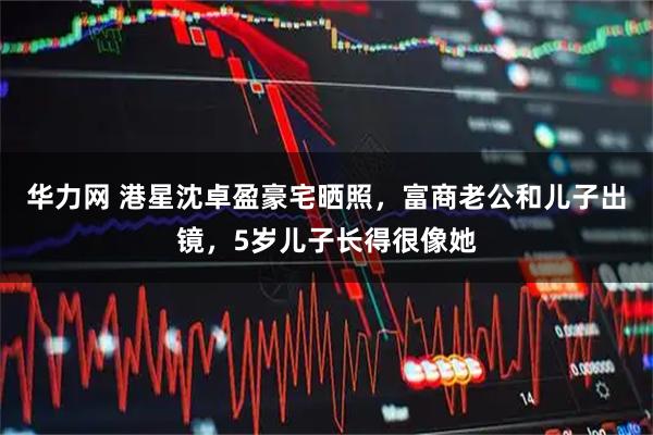 华力网 港星沈卓盈豪宅晒照，富商老公和儿子出镜，5岁儿子长得很像她