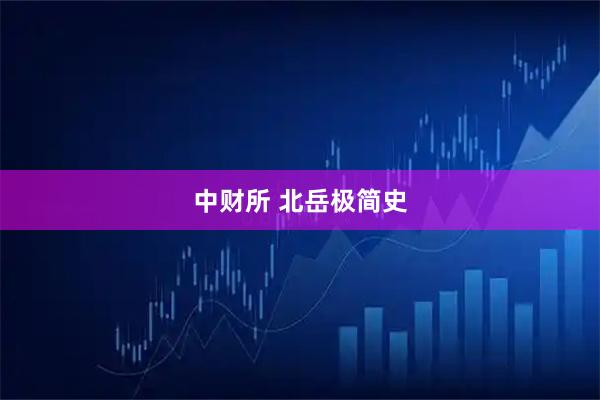 中财所 北岳极简史