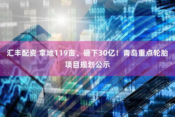 汇丰配资 拿地119亩、砸下30亿！青岛重点轮胎项目规划公示