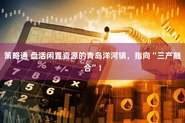 策略通 盘活闲置资源的青岛洋河镇，指向“三产融合”！