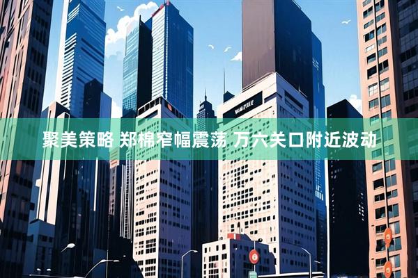 聚美策略 郑棉窄幅震荡 万六关口附近波动
