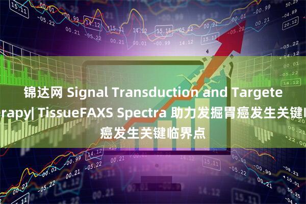 锦达网 Signal Transduction and Targeted Therapy| TissueFAXS Spectra 助力发掘胃癌发生关键临界点